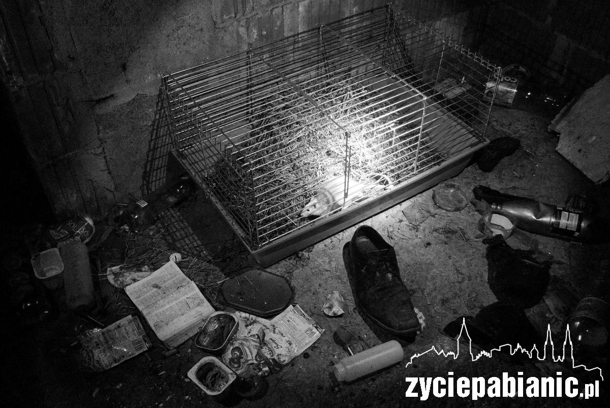 Zobacz jak żyją pabianiccy bezdomni