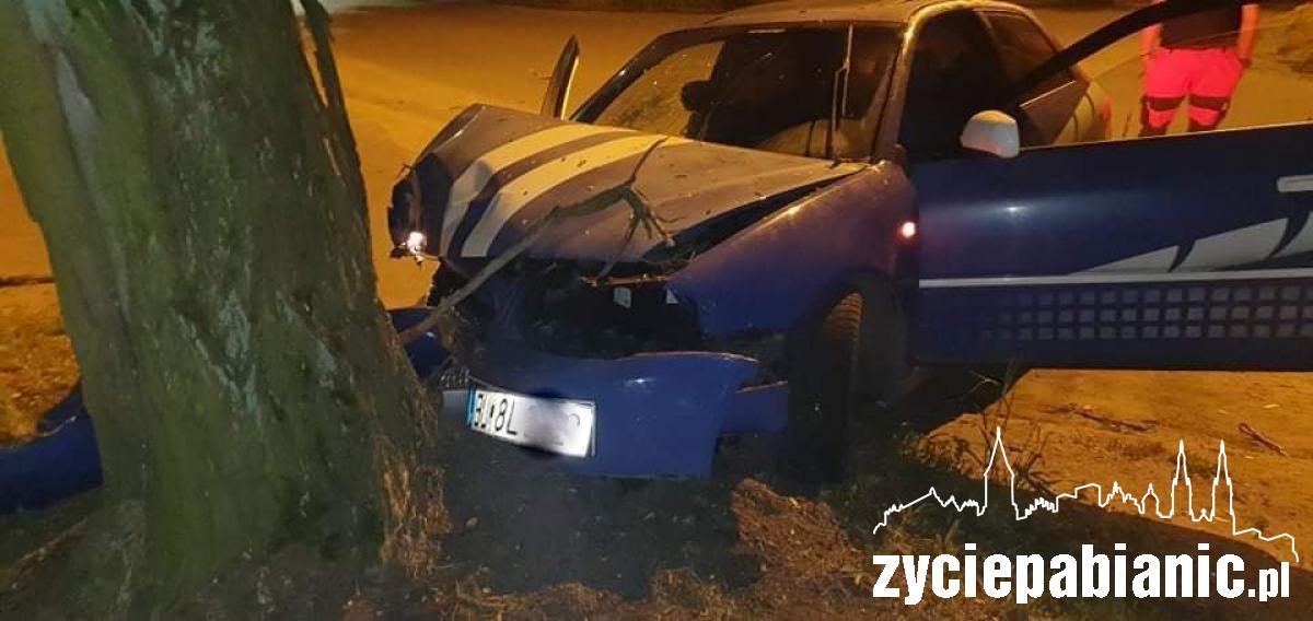 Wjechali w drzewo
