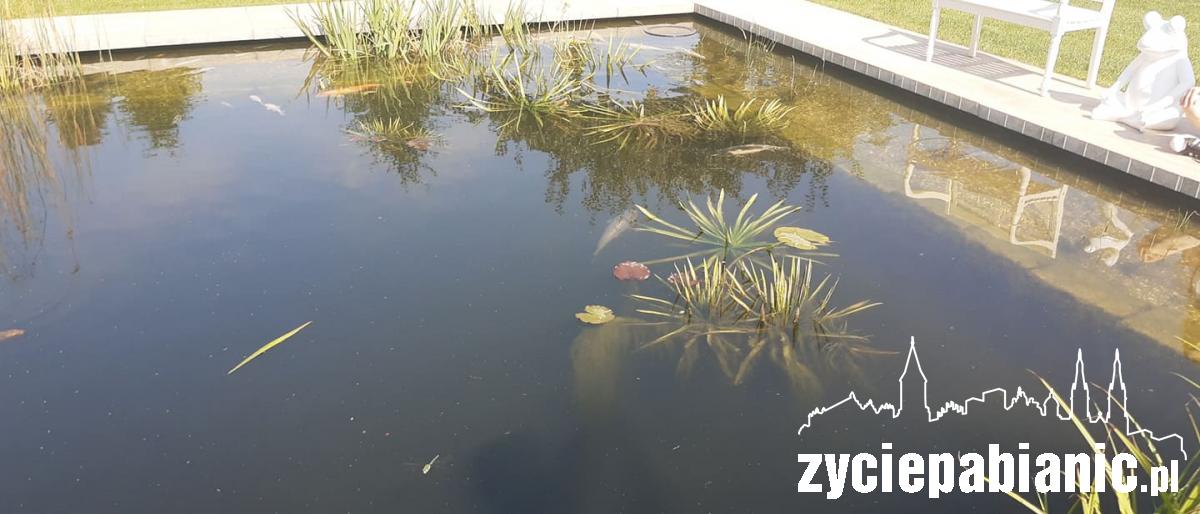 Zakończenie lata w Afloparku. Co tam się dzieje?