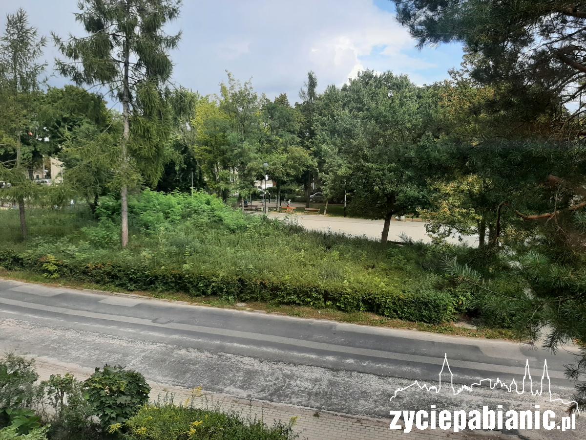 Skwer przy Szarych Szeregów zamienia się w busz