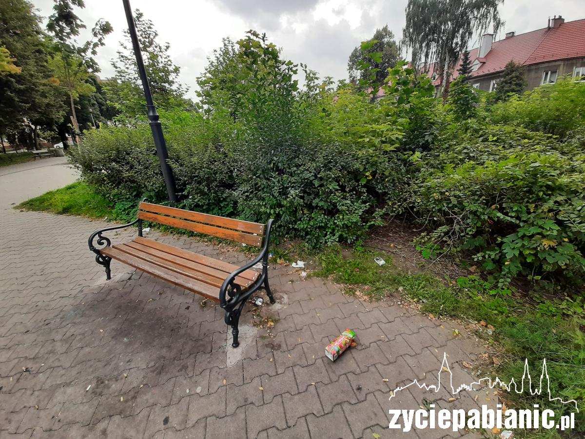Skwer przy Szarych Szeregów zamienia się w busz