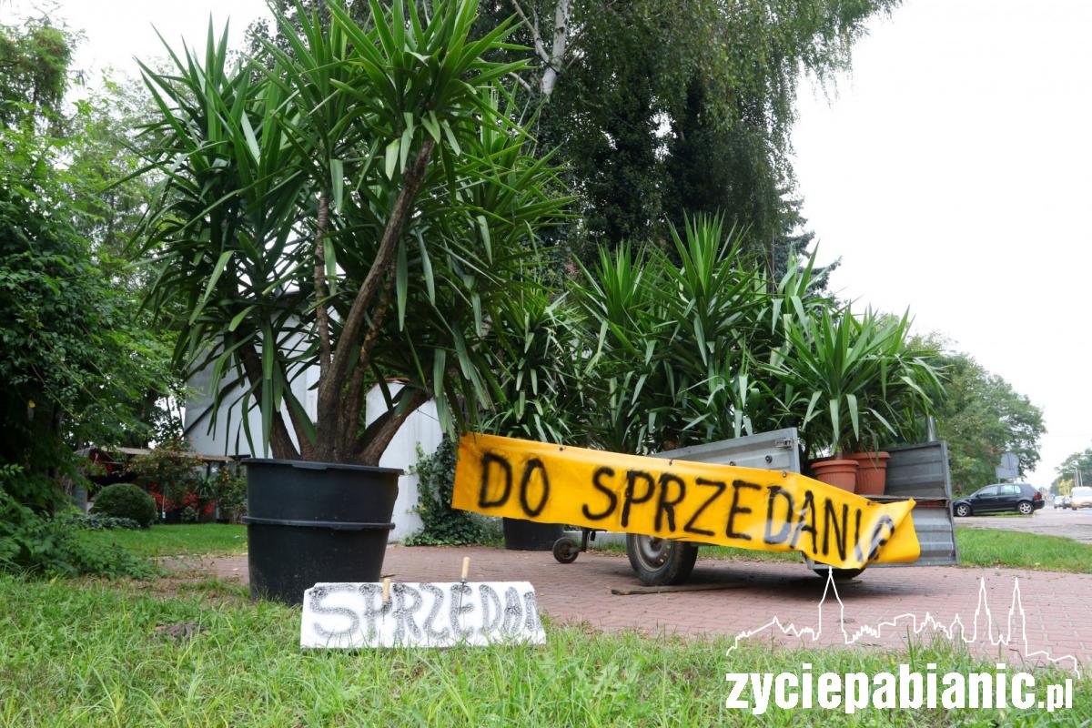 Egzotyczny ogród przy ul. Łaskiej