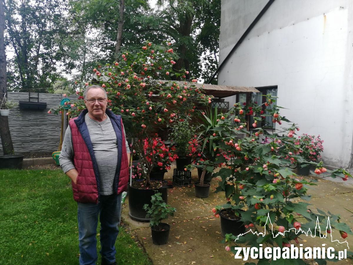 Egzotyczny ogród przy ul. Łaskiej