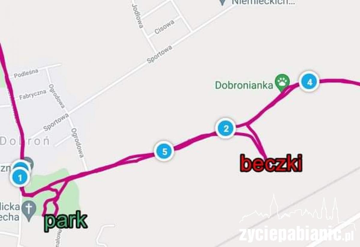 gm. Dobroń. Niebezpieczna substancja w lesie