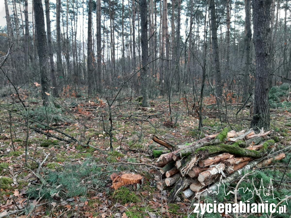 List od czytelnika: 