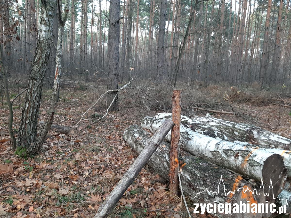 List od czytelnika: 