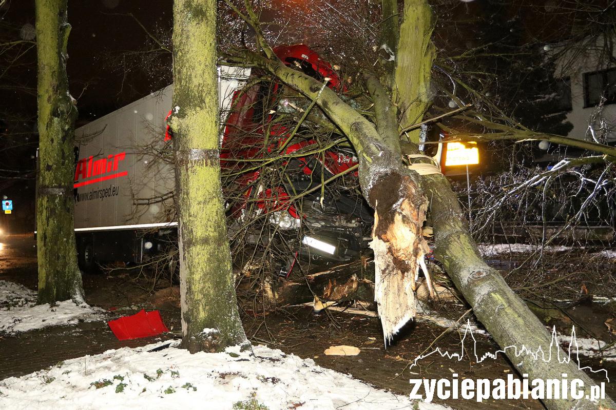 Ciężarówka skosiła drzewo
