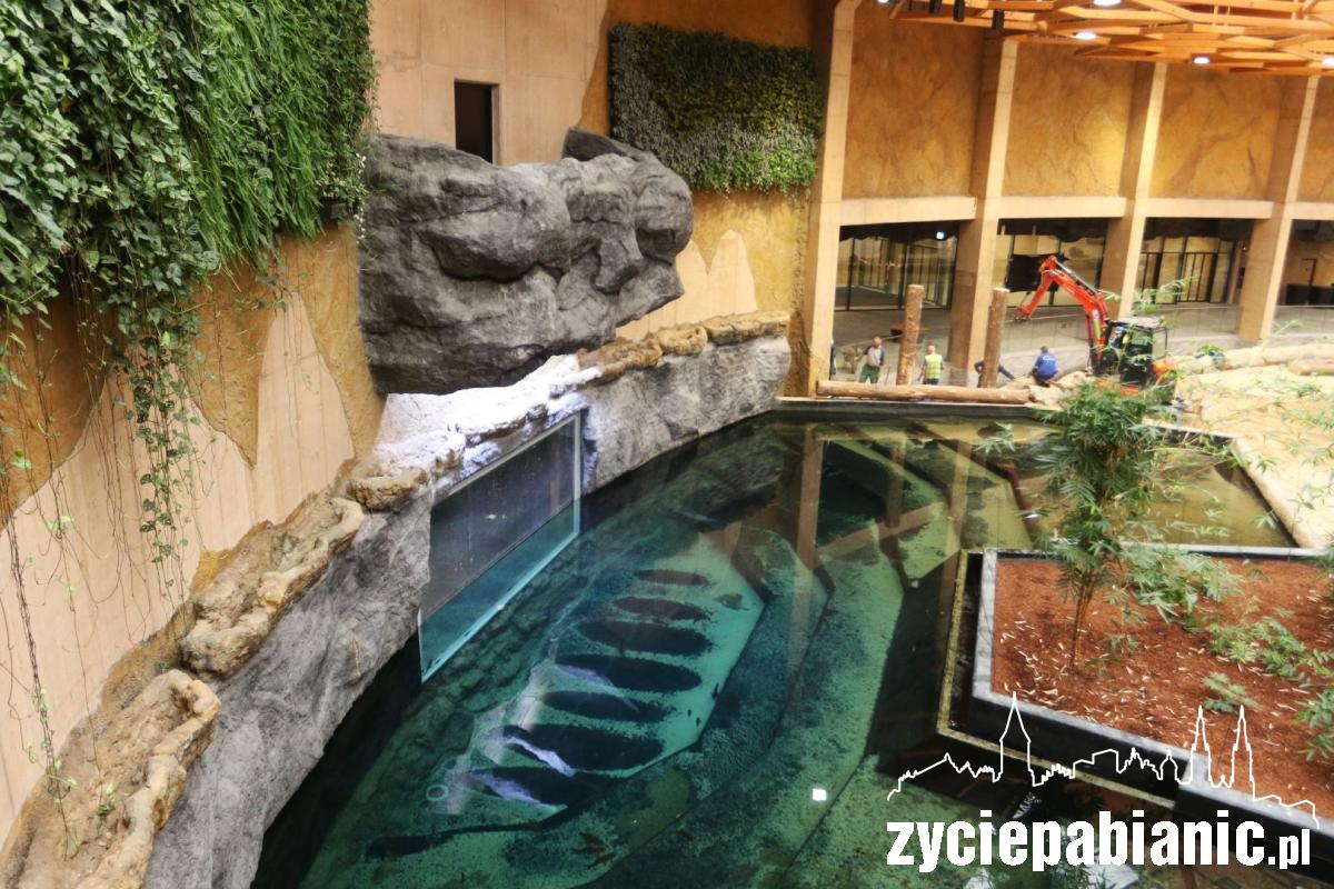 Orientarium po sąsiedzku