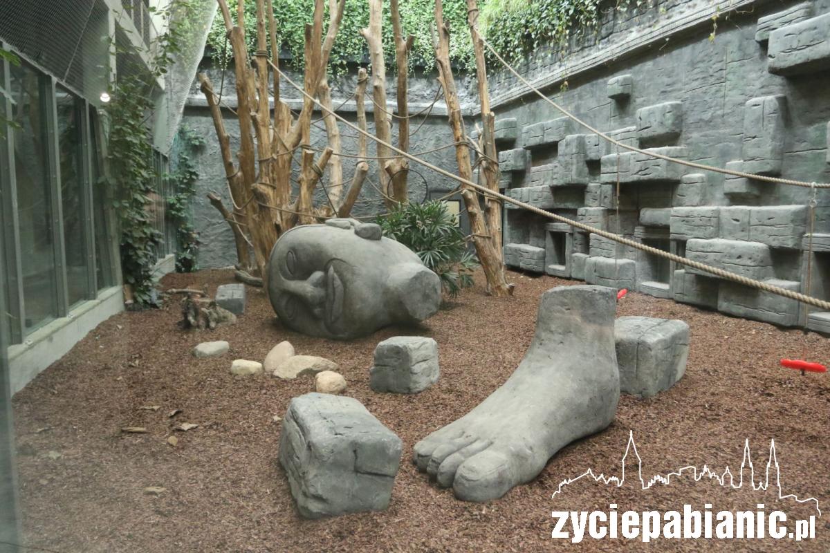 Orientarium po sąsiedzku