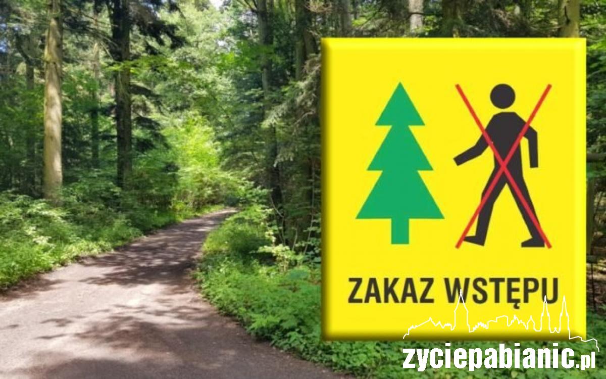 Zakaz wstępu do lasów. Trwa oprysk chemiczny
