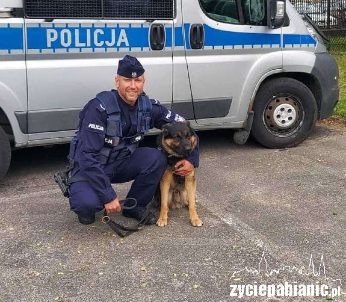 Pies policyjny z Pabianic odnalazł nastolatka