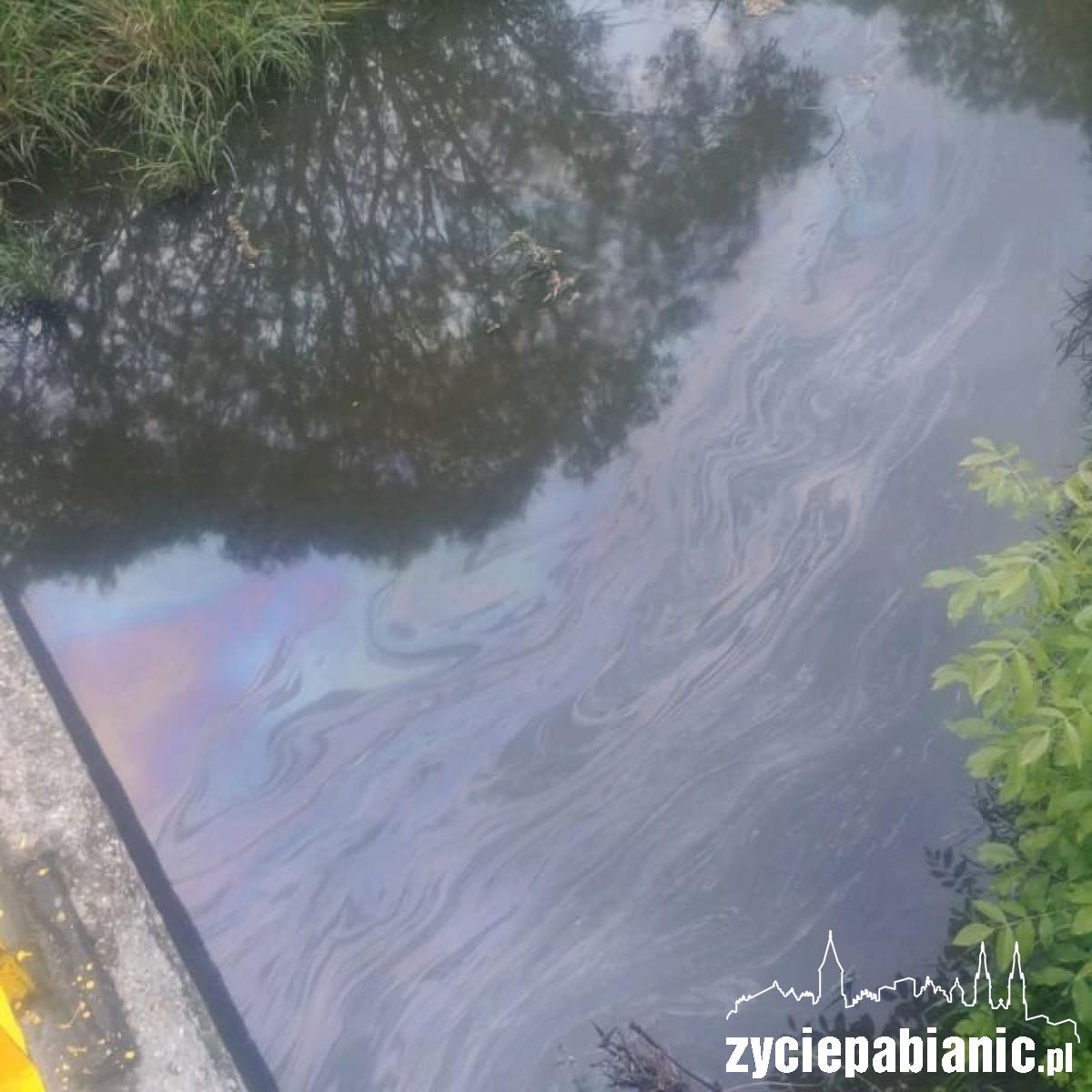 Kto truje wodę w Dobrzynce?