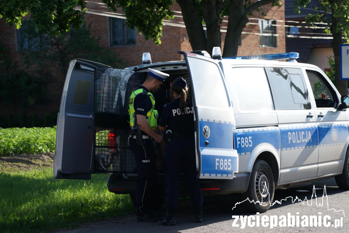 Pijany kierowca spowodował kolizję