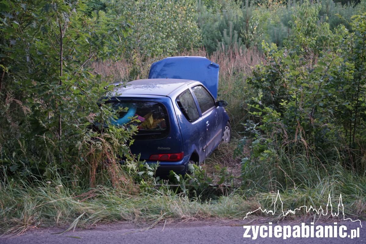 Dachowanie na 20 Stycznia
