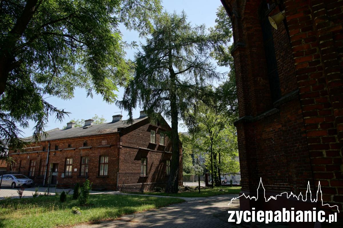 Te drzewa niejedną historię „pamiętają”