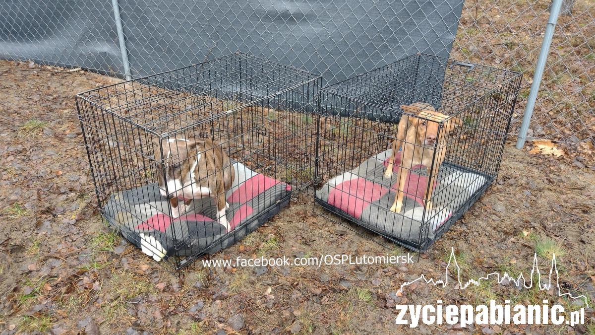 150.00 zł mogło pójść z dymem