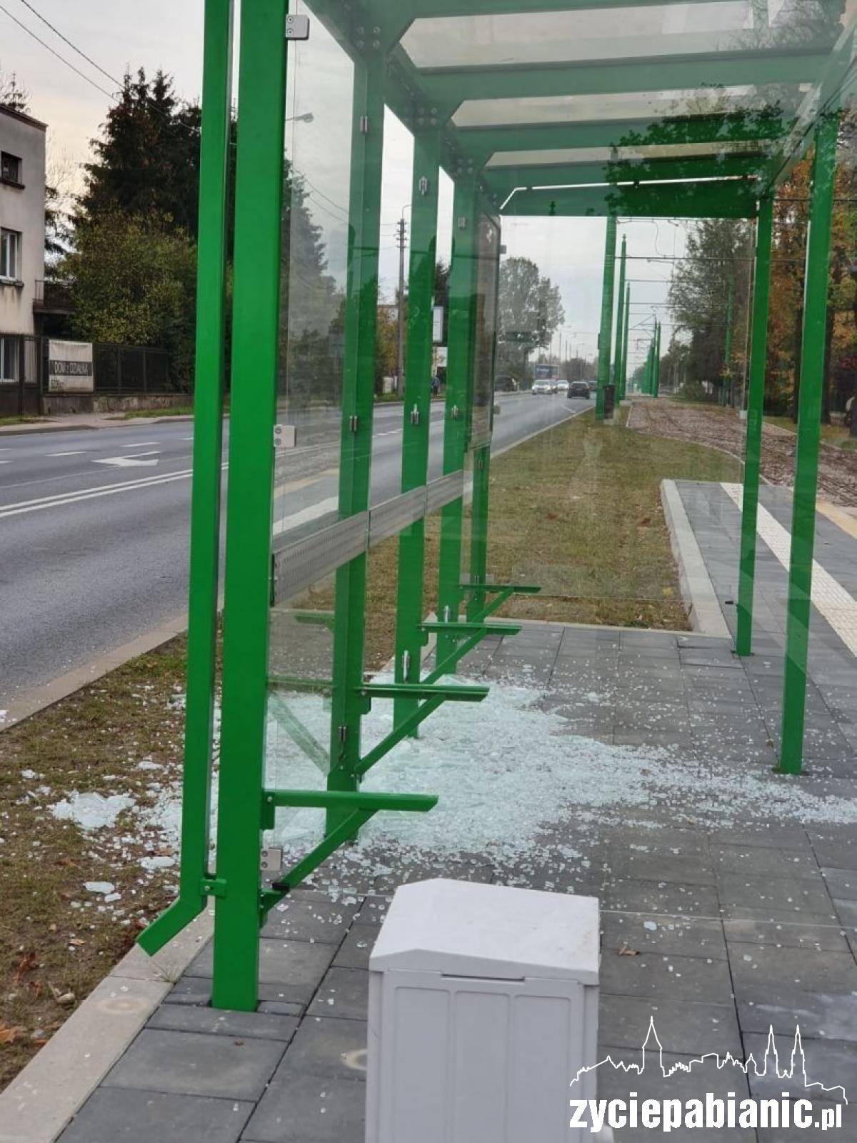 Zatrzymali wandala
