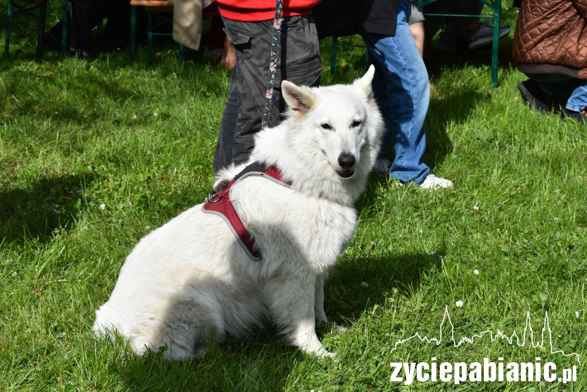 3 maja: Rodzinny Piknik Patriotyczny