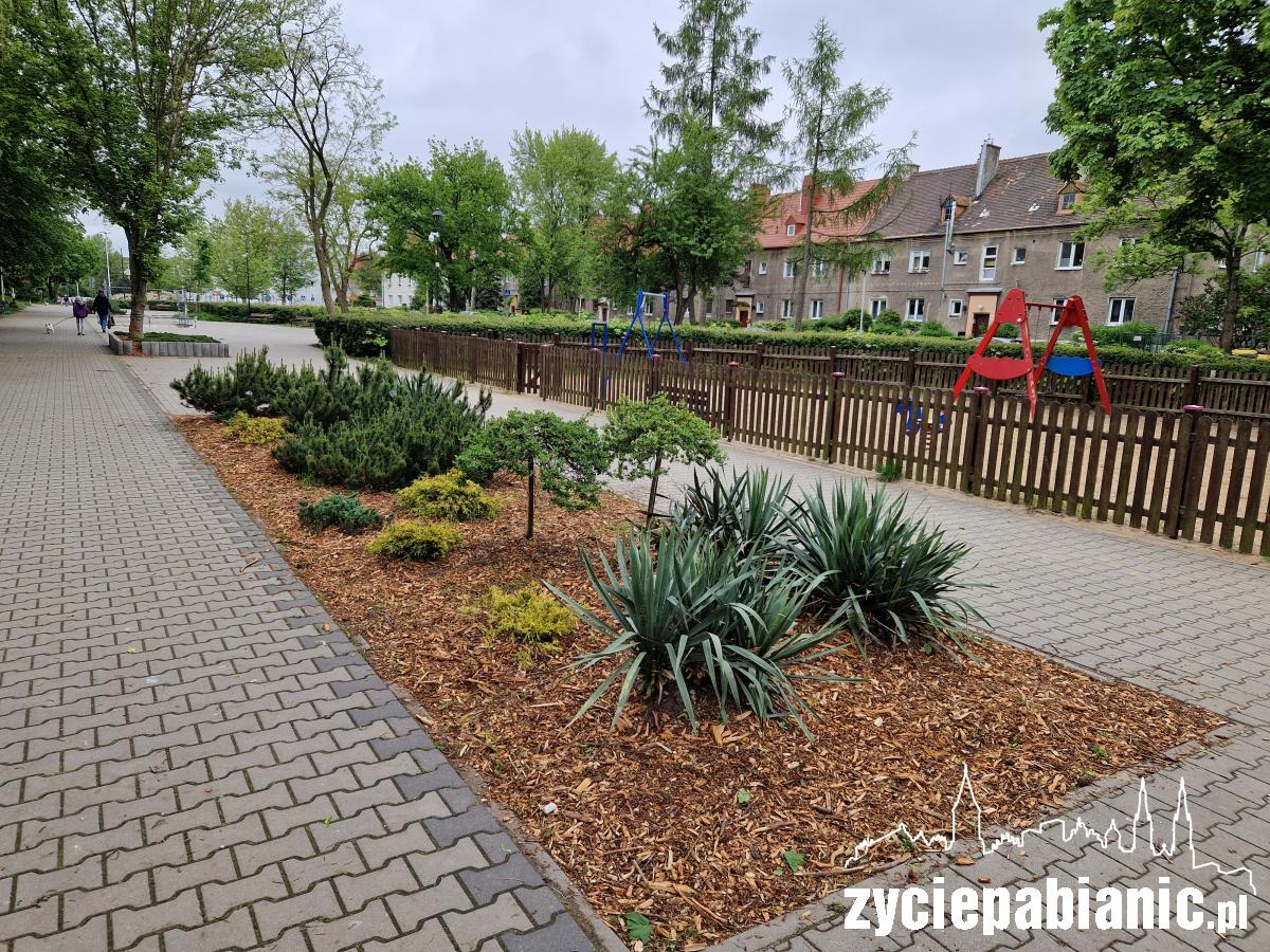 Posadzili nowe drzewa, krzewy i byliny