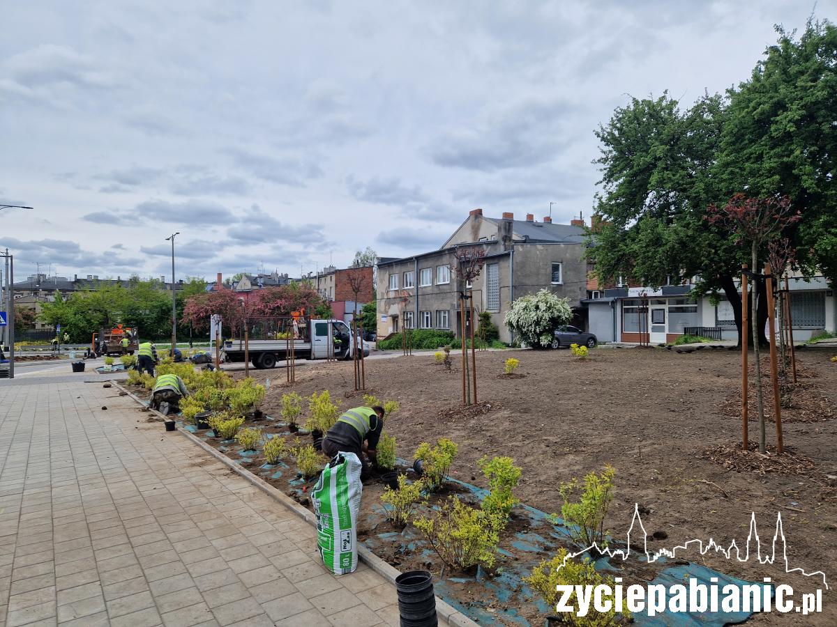 Posadzili nowe drzewa, krzewy i byliny