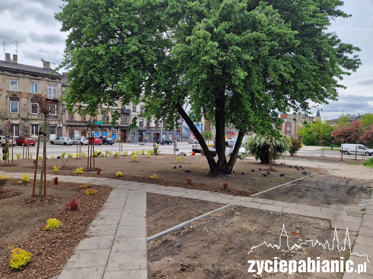 Posadzili nowe drzewa, krzewy i byliny