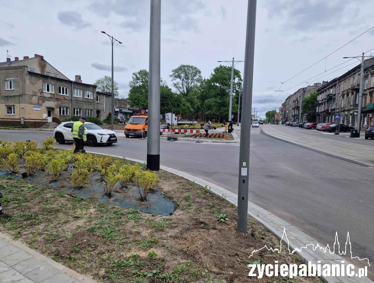Posadzili nowe drzewa, krzewy i byliny