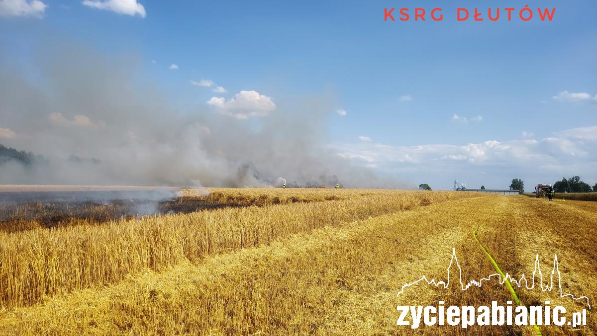 Leszczyny Duże: pożar na polu