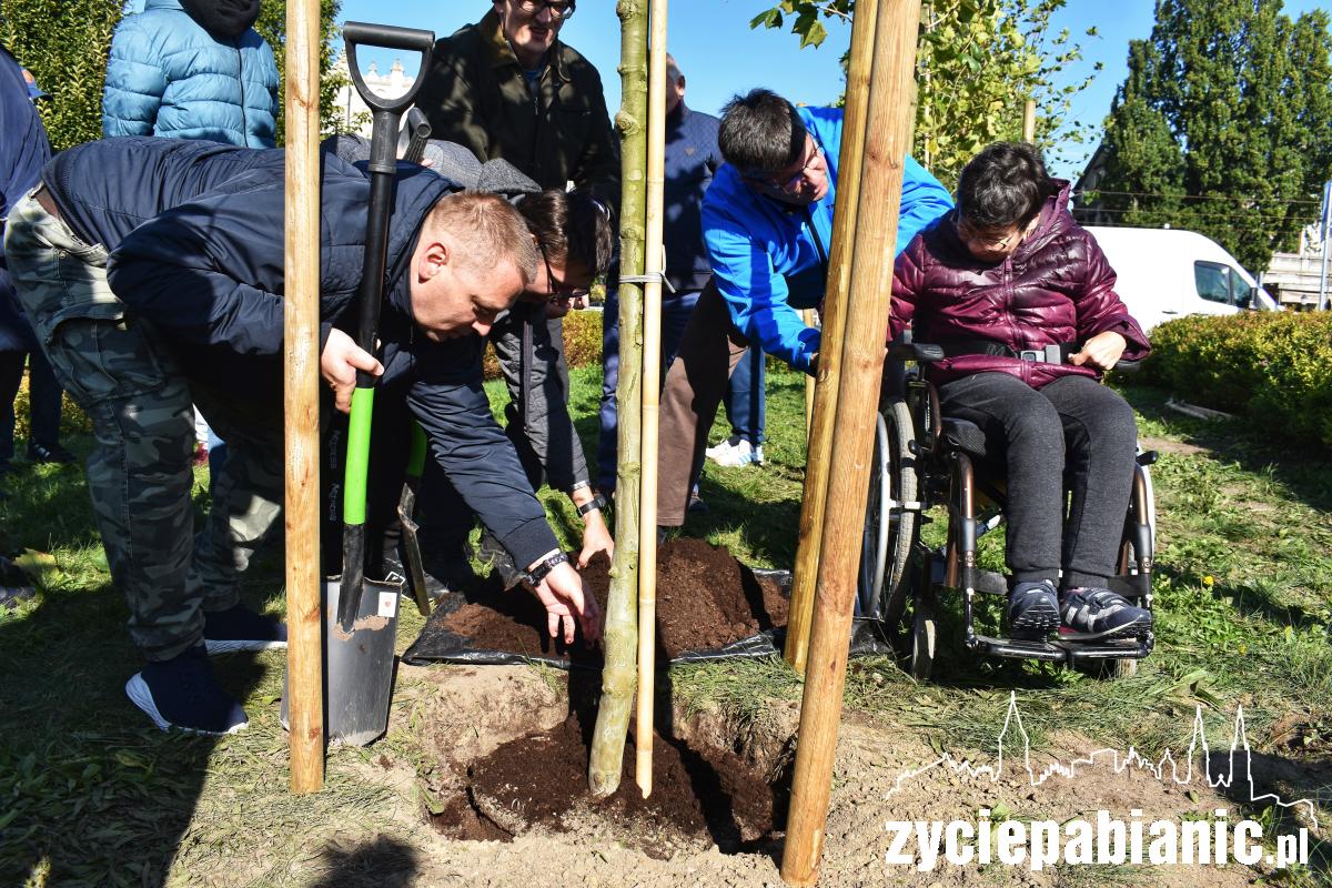 Światowy Dzień Drzewa