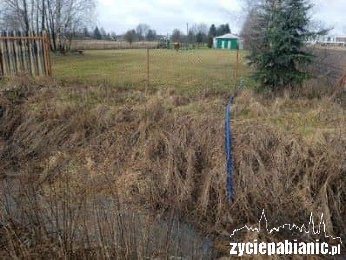 Śmierdząca sprawa