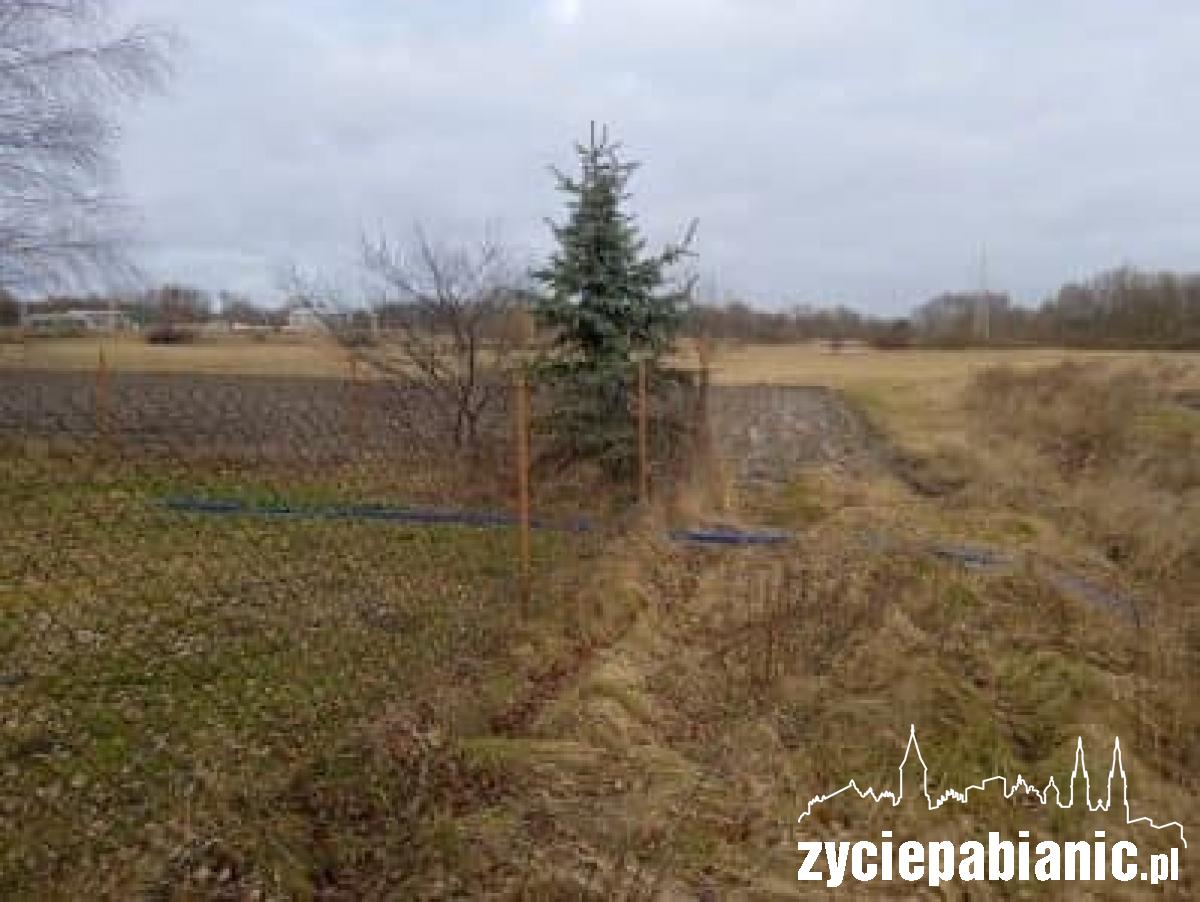 Śmierdząca sprawa