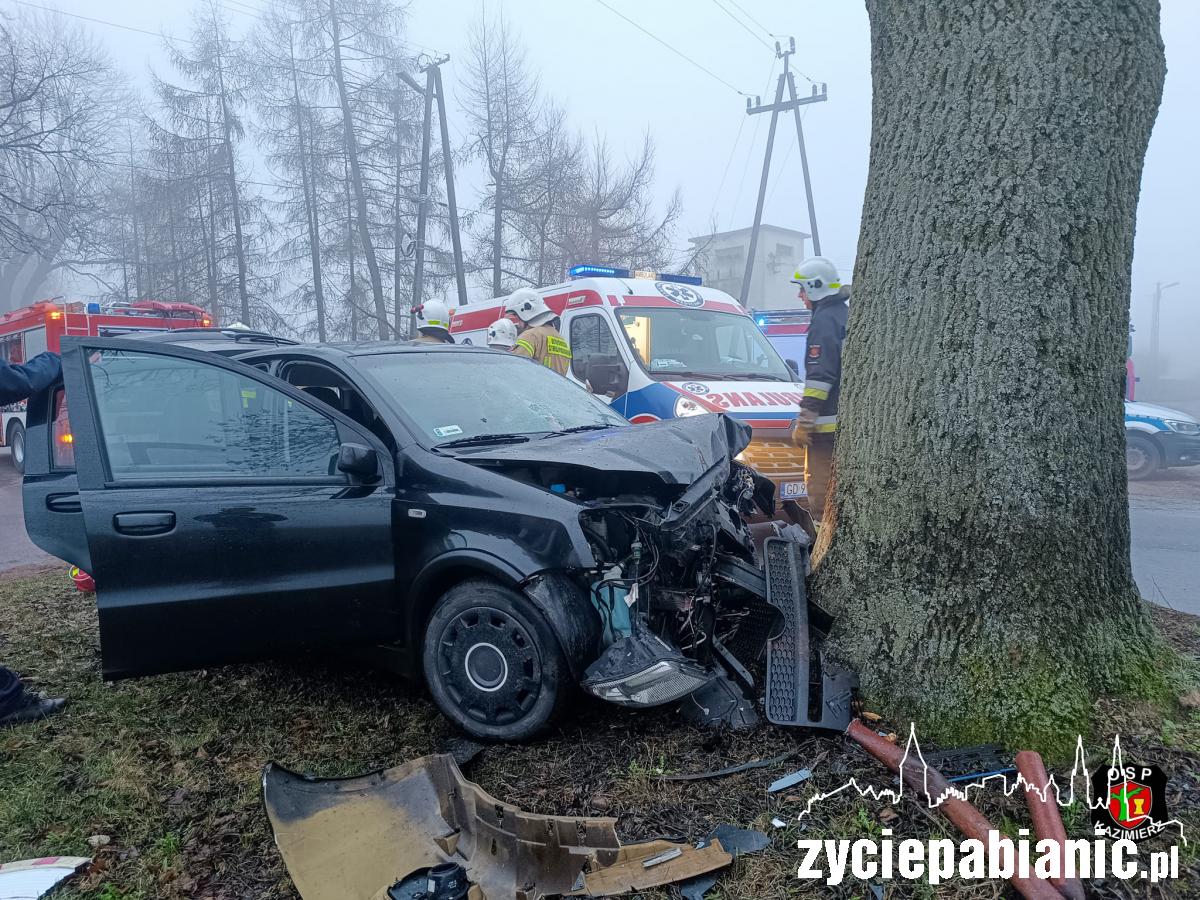 Rozbił auto na drzewie
