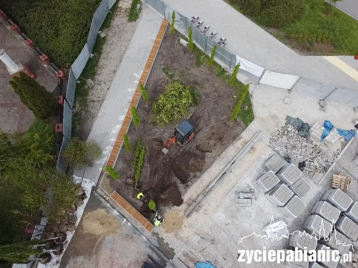 Sadzą zieleń na placu budowy [FOTO]