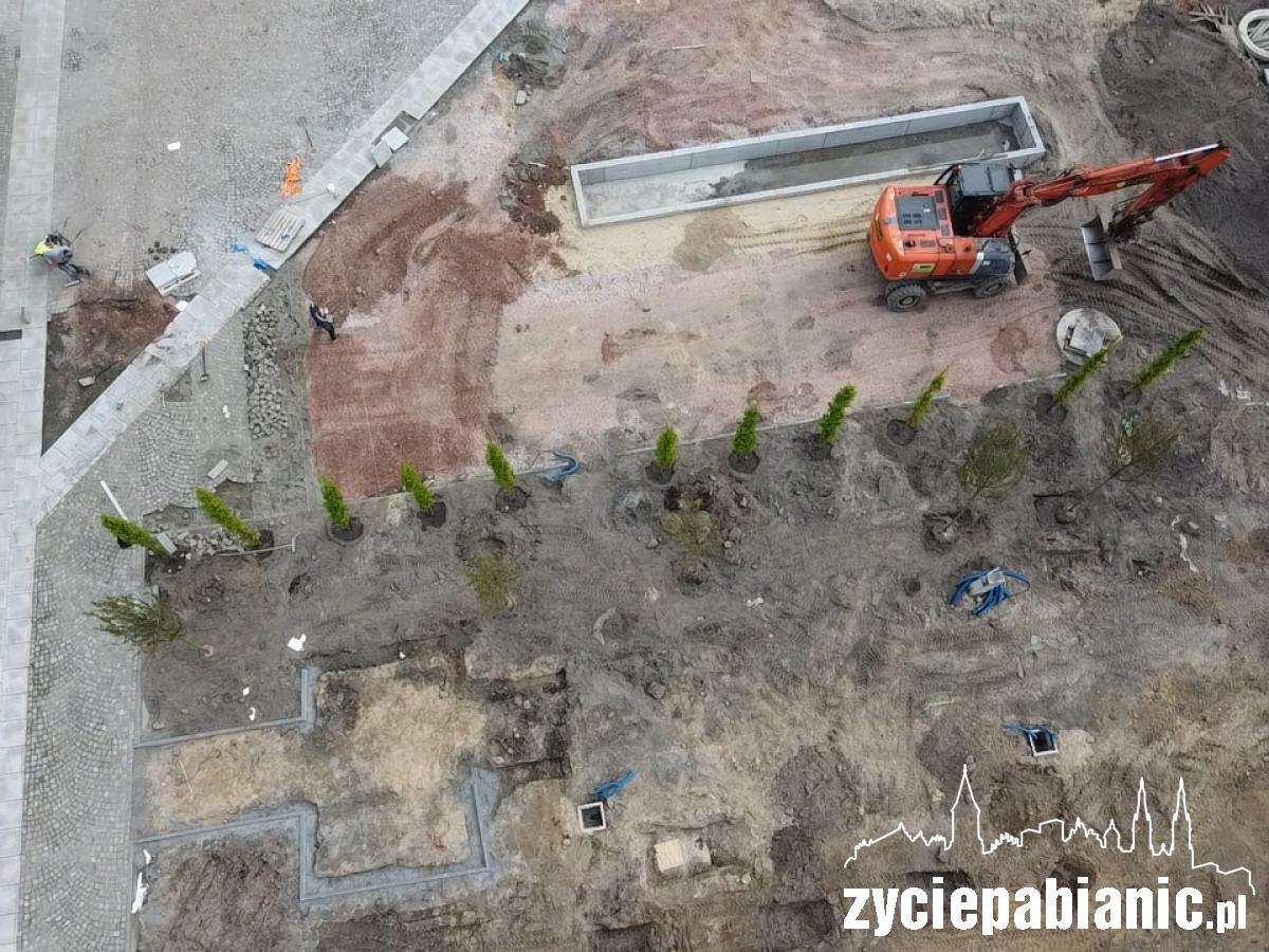 Sadzą zieleń na placu budowy [FOTO]