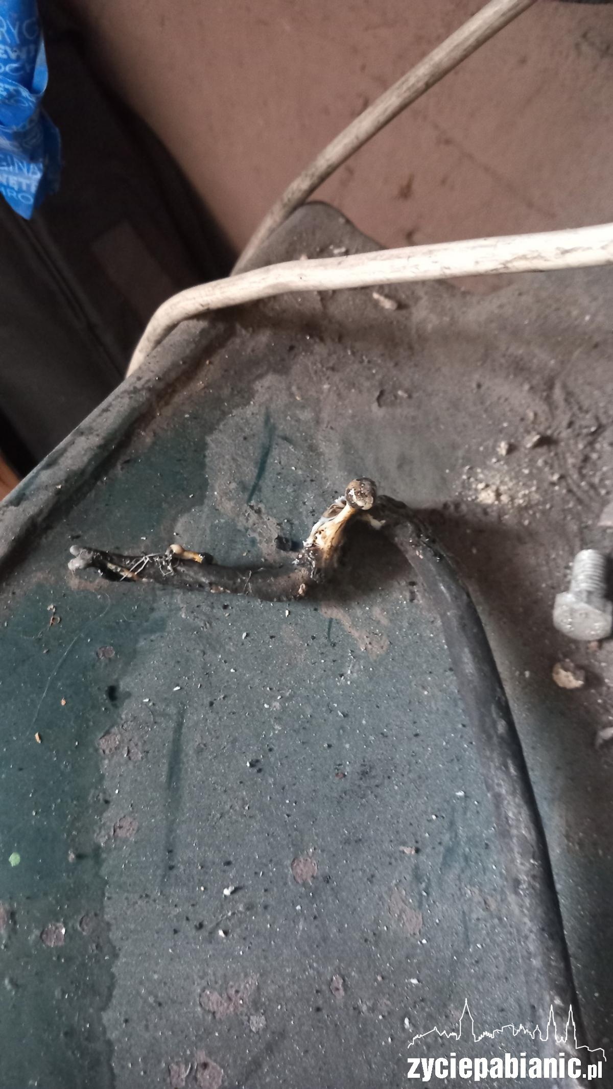 Podgrzewała wodę paląc w piecu plastikiem