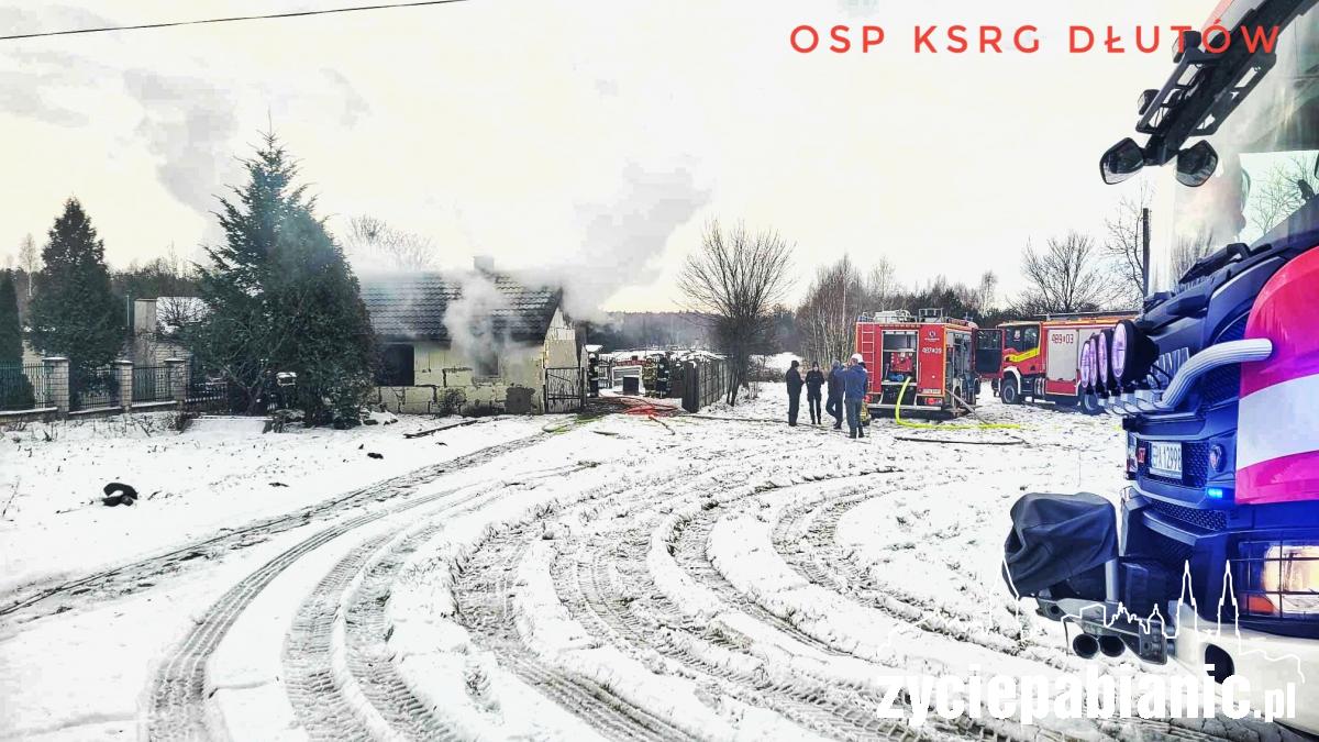 Pożar w Drzewocinach. Ogromne straty