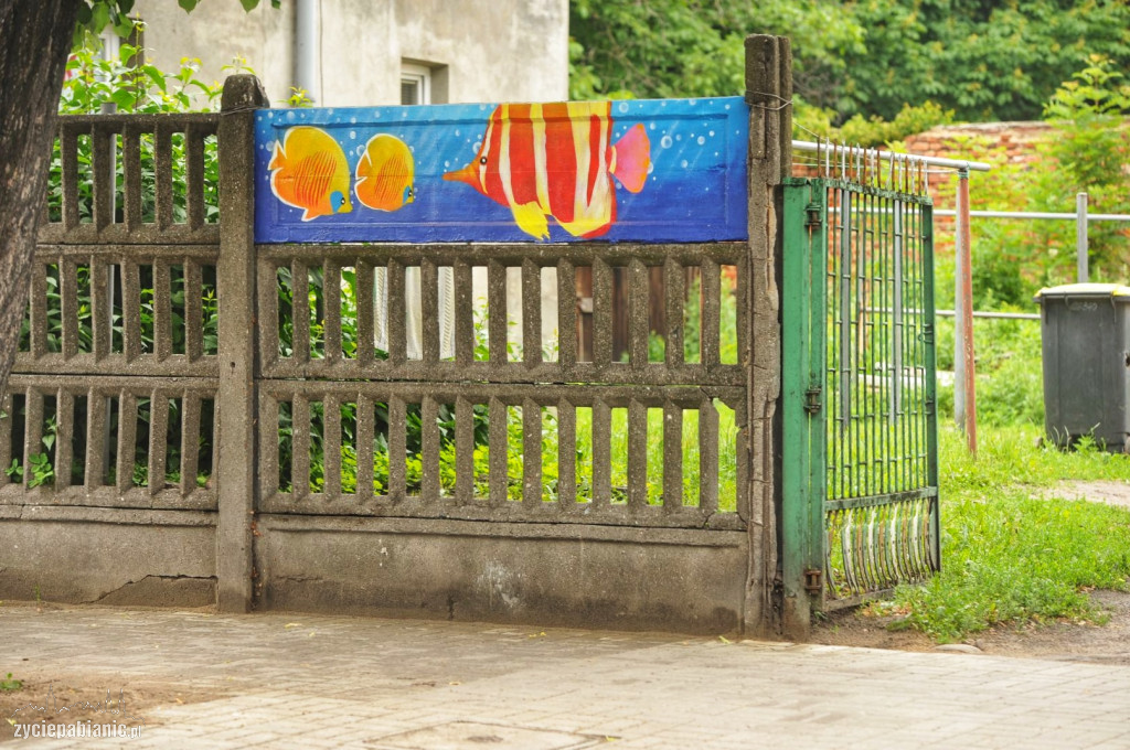 Mini Street Art Kruka wróci na ulice Pabianic