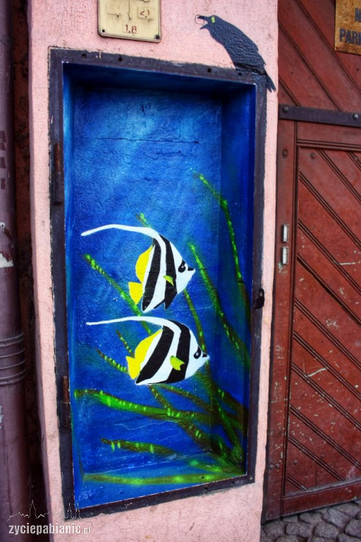 Mini Street Art Kruka wróci na ulice Pabianic