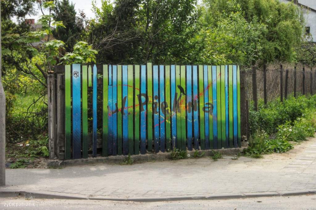 Mini Street Art Kruka wróci na ulice Pabianic