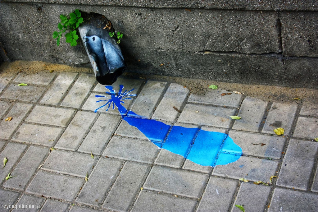 Mini Street Art Kruka wróci na ulice Pabianic