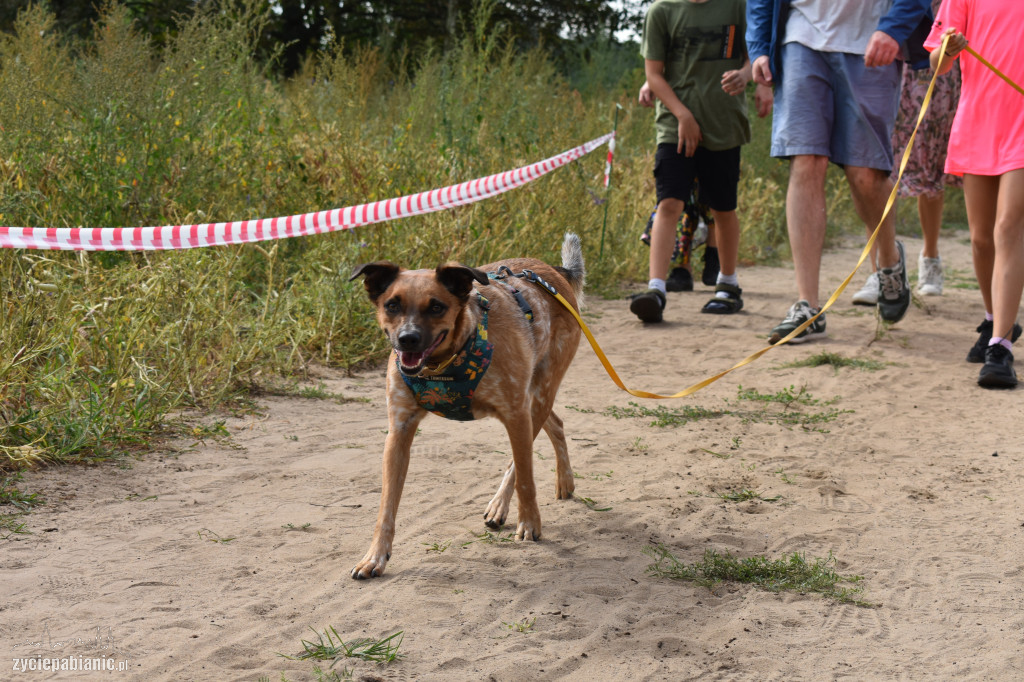 VI Zlot Adopciaków