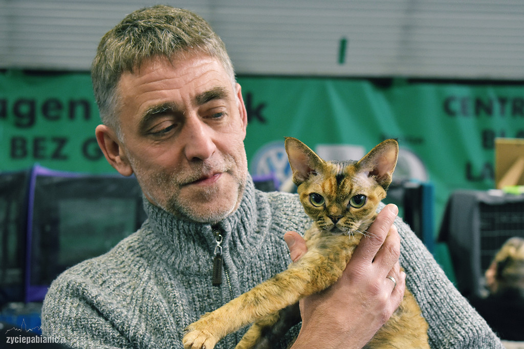 Wystawa kotów rasowych