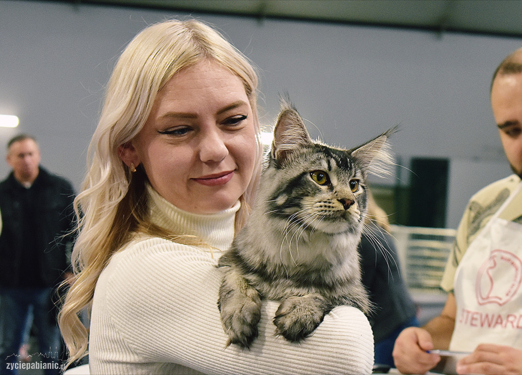 Wystawa kotów rasowych