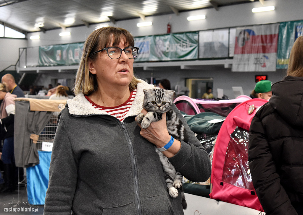 Wystawa kotów rasowych