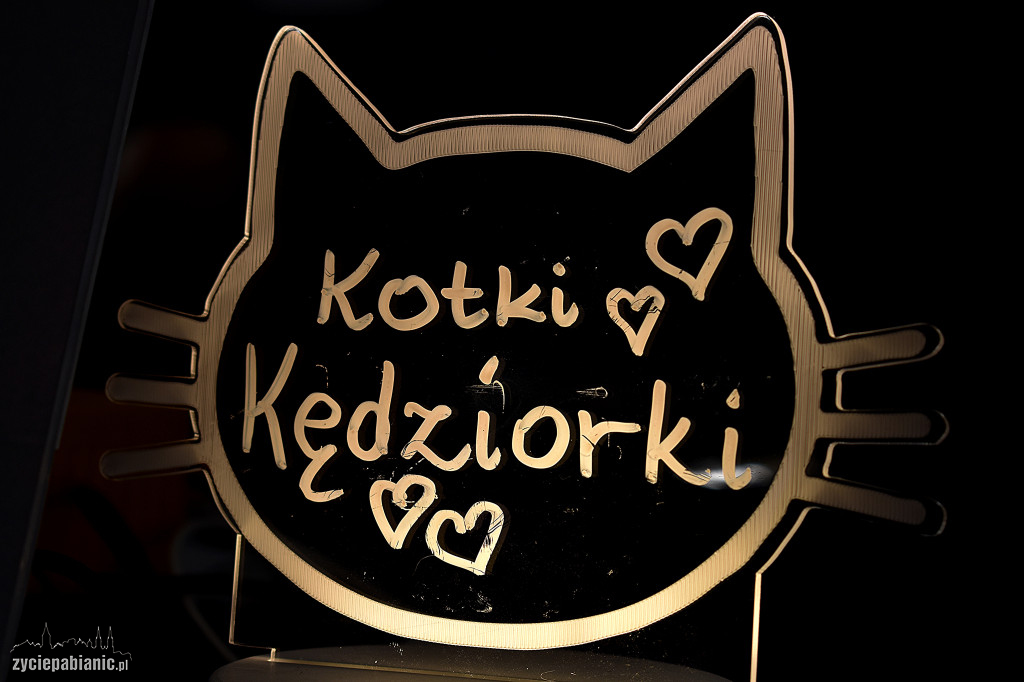 Wystawa kotów rasowych