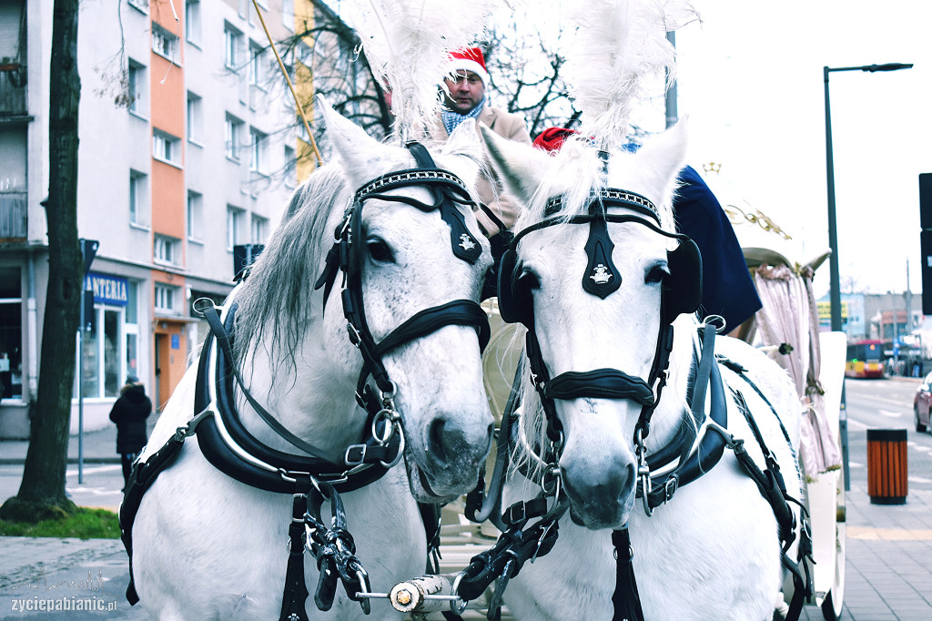 Parada i jarmark świąteczny