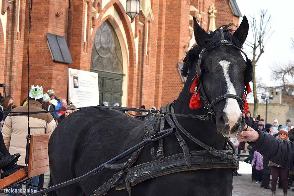 Orszak Trzech Króli w Pabianicach