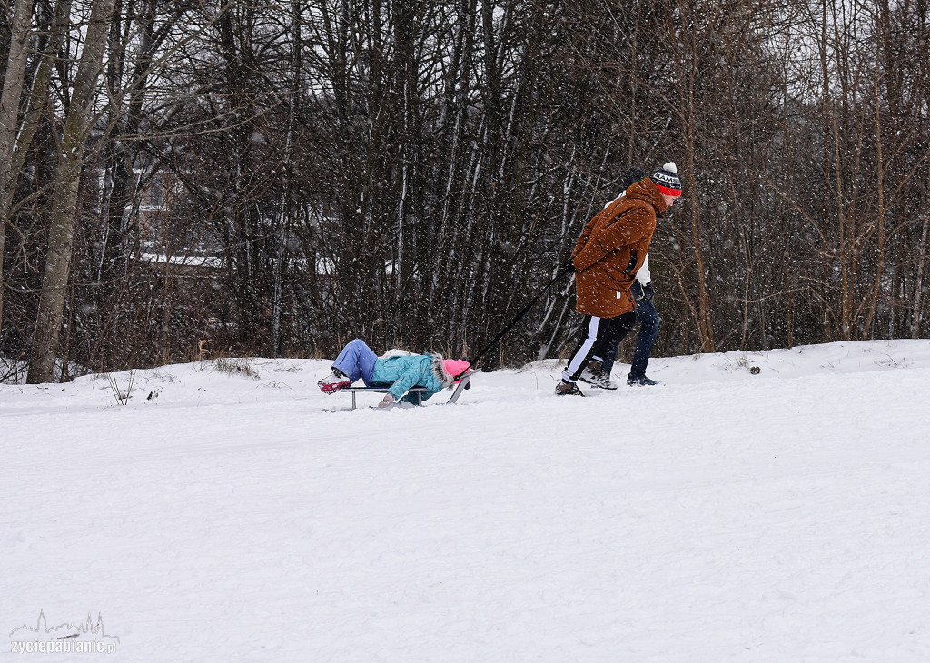 Skoki narciarskie na Lewitynie