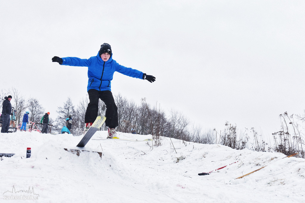 Skoki narciarskie na Lewitynie