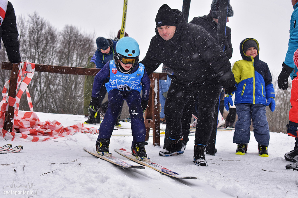 Skoki narciarskie na Lewitynie