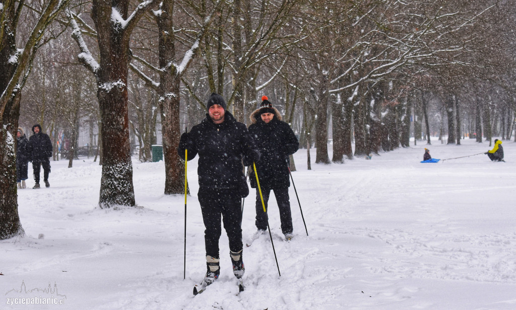 Skoki narciarskie na Lewitynie